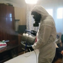 Дезинфекция от клопов в Гулькевичах