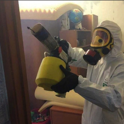 Уничтожение клопов в квартире. Гулькевичи